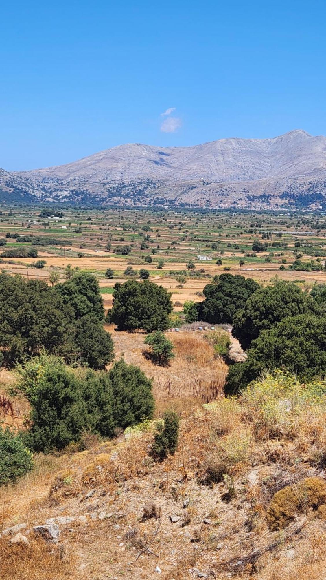 Dionysus Lasithi Plateau Magoulás Exterior foto